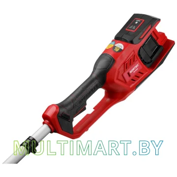 Триммер Wortex TB 3036 0333290 (без АКБ) картинка 4